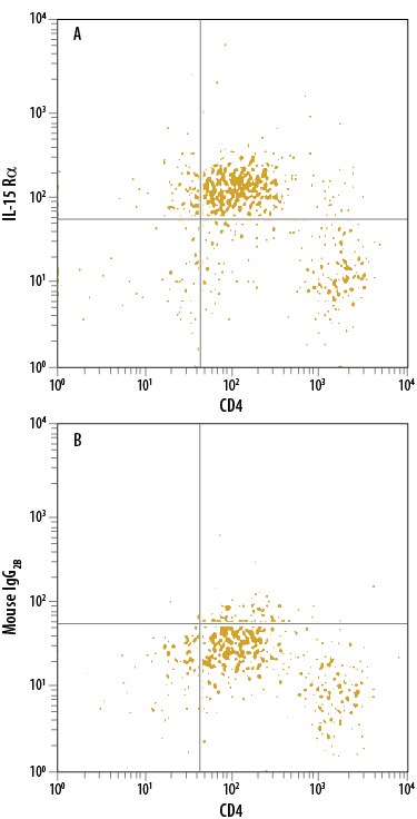 Detection of IL-15 Ra antibody in Human CD4+PBMCs antibody by Flow Cytometry.