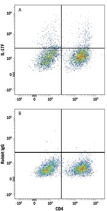 Detection of IL‑17F antibody in Mouse Splenocytes Stimulated to Induce Th17 cells antibody by Flow Cytometry.