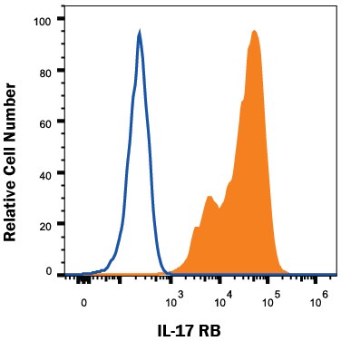 Detection of IL-17 RB antibody in HEK293 Human Cell Line Transfected with Human IL-17 RB antibody by Flow Cytometry.