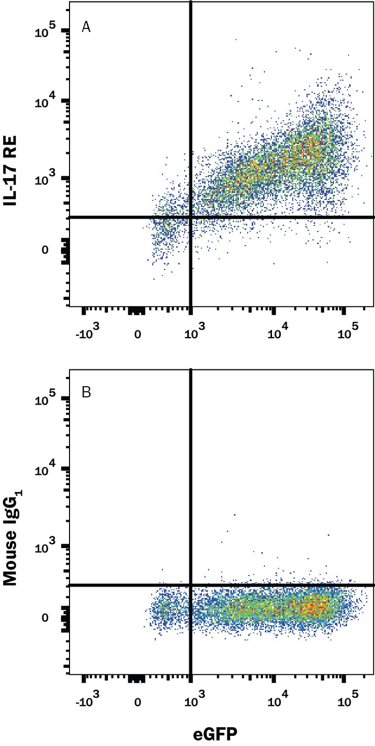 Detection of IL-17 RE antibody in HEK293 Human Cell Line Transfected with Human IL-17 RE and eGFP antibody by Flow Cytometry.