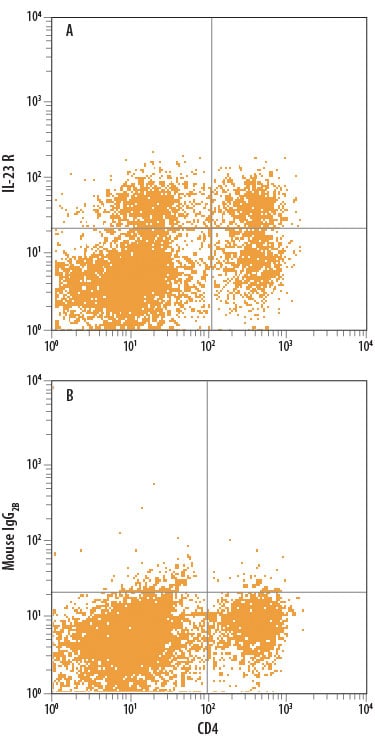 Detection of IL-23 R antibody in Human PBMCs antibody by Flow Cytometry.