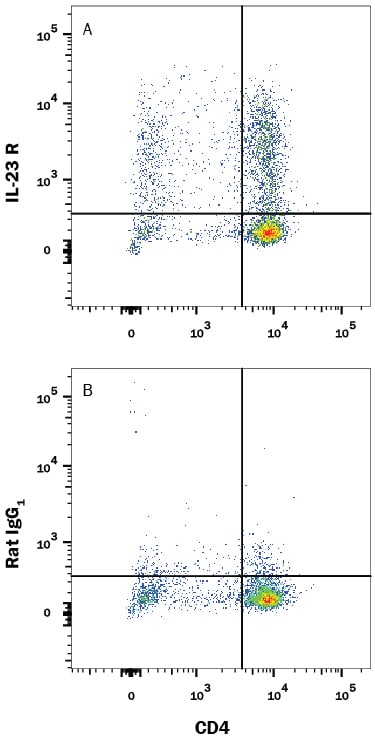 Detection of IL-23 R antibody in Mouse Splenocytes antibody by Flow Cytometry.