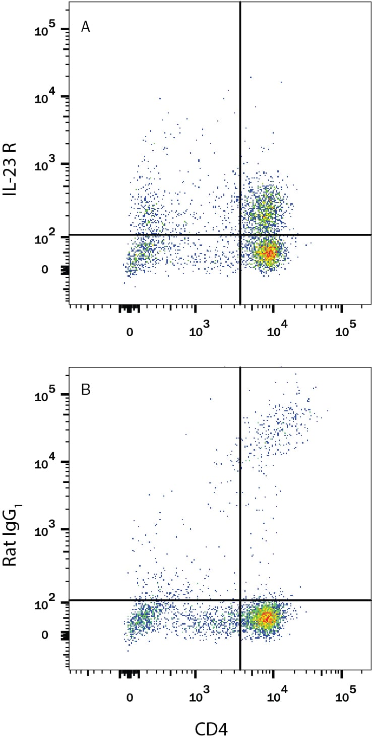 Detection of IL-23 R antibody in Mouse Splenocytes antibody by Flow Cytometry.