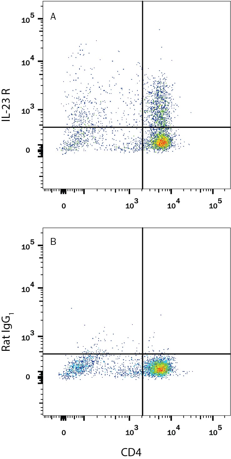 Detection of IL-23 R antibody in Mouse Splenocytes antibody by Flow Cytometry.