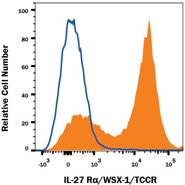 Detection of IL-27 Ra/WSX-1/TCCR antibody in Mouse Splenocytes antibody by Flow Cytometry.
