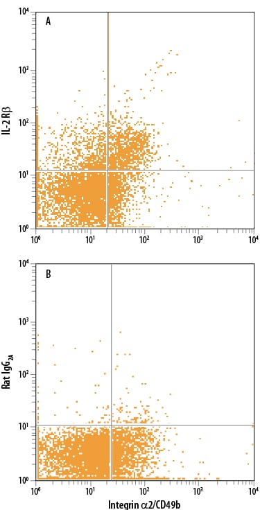 Detection of IL-2 R beta  antibody in Mouse Splenocytes antibody by Flow Cytometry.