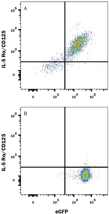 Detection of IL-5 Ra/CD125 antibody in HEK293 human embryonic kidney cell line transfected with human IL-5 Ra/CD125 and eGFP antibody by Flow Cytometry.