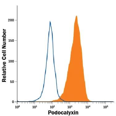 Detection of Mouse IgG Isotype Control by Flow Cytometry