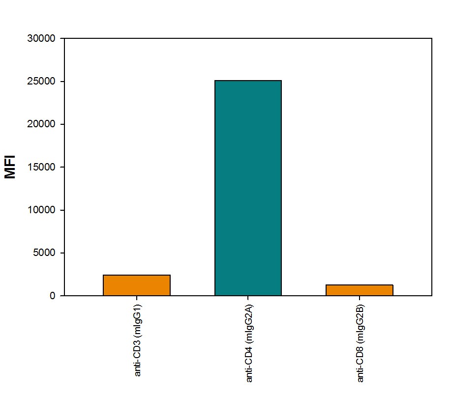 Detection of Mouse IgG2APrimary Antibody by Anti-Mouse IgG2Bspecific Secondary Antibody.