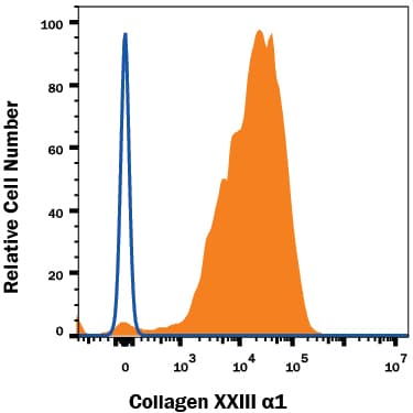 Detection of Sheep IgG Isotype Control by Flow Cytometry