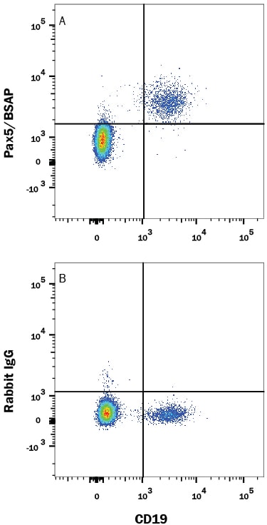 Detection of Rabbit IgG Isotype Control by Flow Cytometry