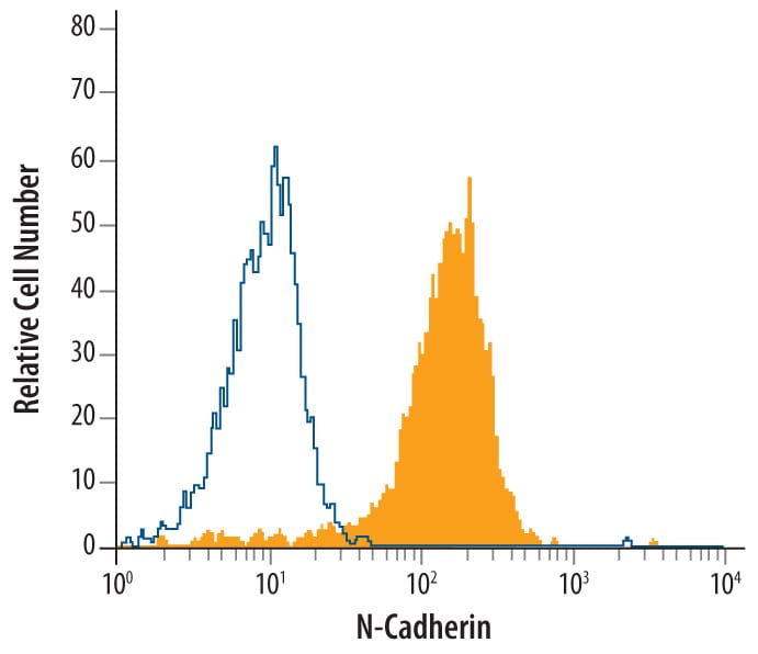 Detection of Mouse IgM Primary Antibody by Flow Cytometry