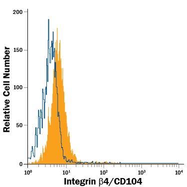 Detection of Integrin  beta 4/CD104 antibody in CMT-93 Mouse Cell Line antibody by Flow Cytometry.