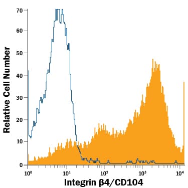 Detection of Integrin  beta 4/CD104 antibody in A431 Human Cell Line antibody by Flow Cytometry.