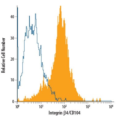 Detection of Integrin  beta 4/CD104 antibody in A431 Human Cell Line antibody by Flow Cytometry.