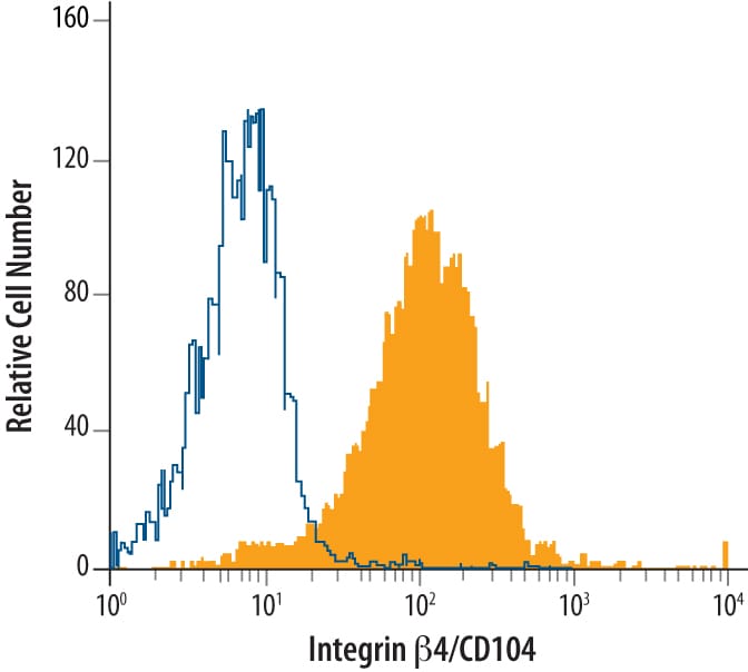 Detection of Integrin  beta 4/CD104 antibody in CMT-93 Mouse Cell Line antibody by Flow Cytometry.