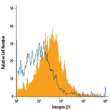 Detection of Integrin  beta 5 antibody in bEnd.3 Mouse Cell Line antibody by Flow Cytometry.