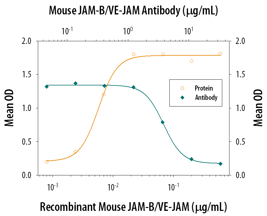 Cell Adhesion Mediated by JAM‑B/VE‑JAM and Neutralization by Mouse JAM‑B/VE‑JAM Antibody.