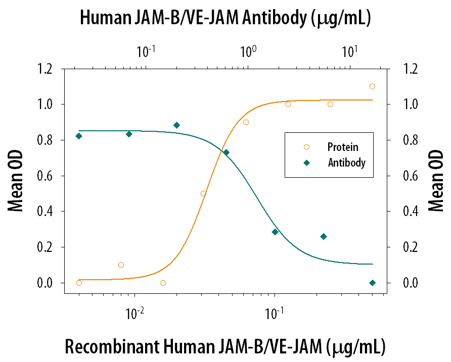 Cell Adhesion Mediated by JAM‑B/VE‑JAM and Neutral-ization by Human JAM‑B/ VE‑JAM Antibody.