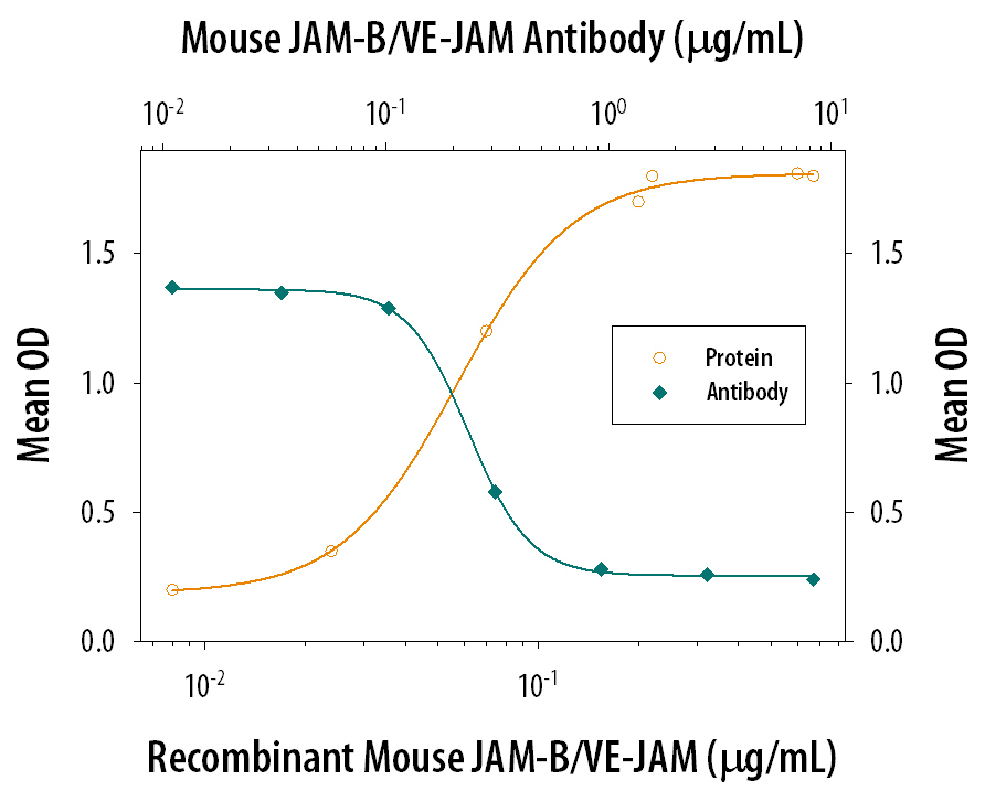 Cell Adhesion Mediated by JAM‑B/VE‑JAM and Neutral-ization by Mouse JAM‑B/ VE‑JAM Antibody.