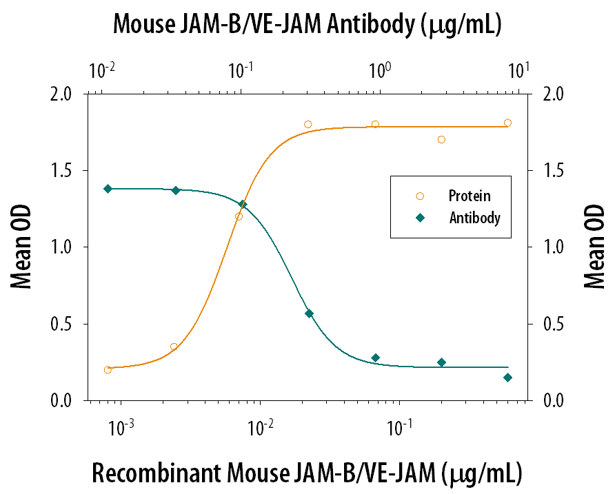 Cell Adhesion Mediated by JAM‑B/VE‑JAM and Neutral-ization by Mouse JAM‑B/ VE‑JAM Antibody.