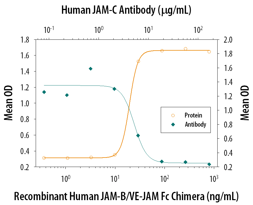 Cell Adhesion Mediated by JAM‑C and Neutralization by Human JAM‑C Antibody.
