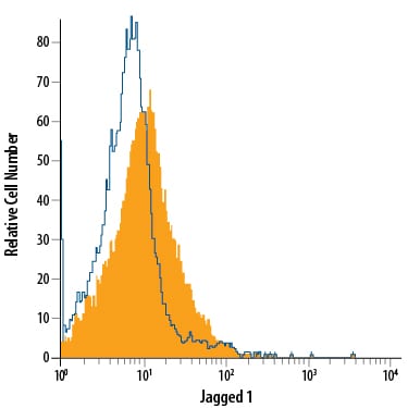 Detection of Jagged 1 antibody in bEnd.3 Mouse Cell Line antibody by Flow Cytometry.