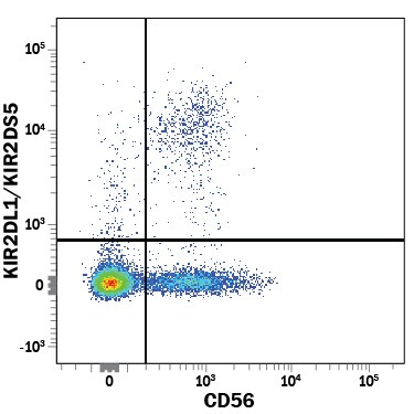 Detection of KIR2DL1/KIR2DS5 antibody in Human PBMCs antibody by Flow Cytometry.