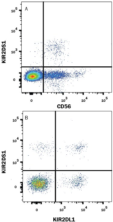 Detection of KIR2DS1/CD158h antibody in Human PBMCs antibody by Flow Cytometry.