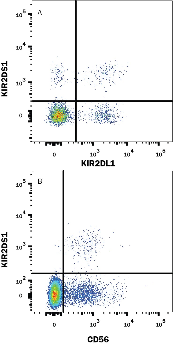Detection of KIR2DS1/CD158h antibody in Human PBMCs antibody by Flow Cytometry.
