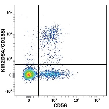 Detection of KIR2DS4/CD158i antibody in Human PBMCs antibody by Flow Cytometry.