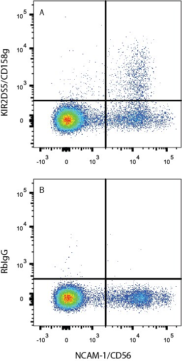 Detection of KIR2DS5/CD158g antibody in Human PBMCs antibody by Flow Cytometry.
