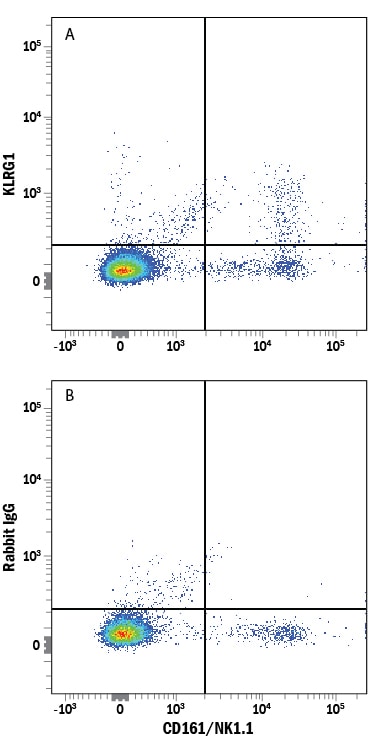 Detection of KLRG1 antibody in Mouse Splenocytes antibody by Flow Cytometry.