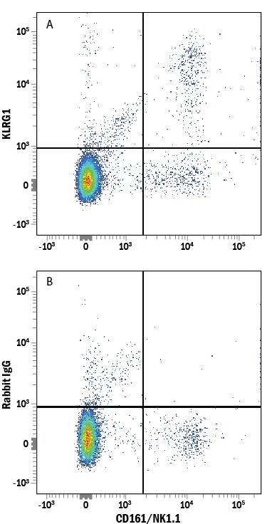 Detection of KLRG1 antibody in Mouse Splenocytes antibody by Flow Cytometry.