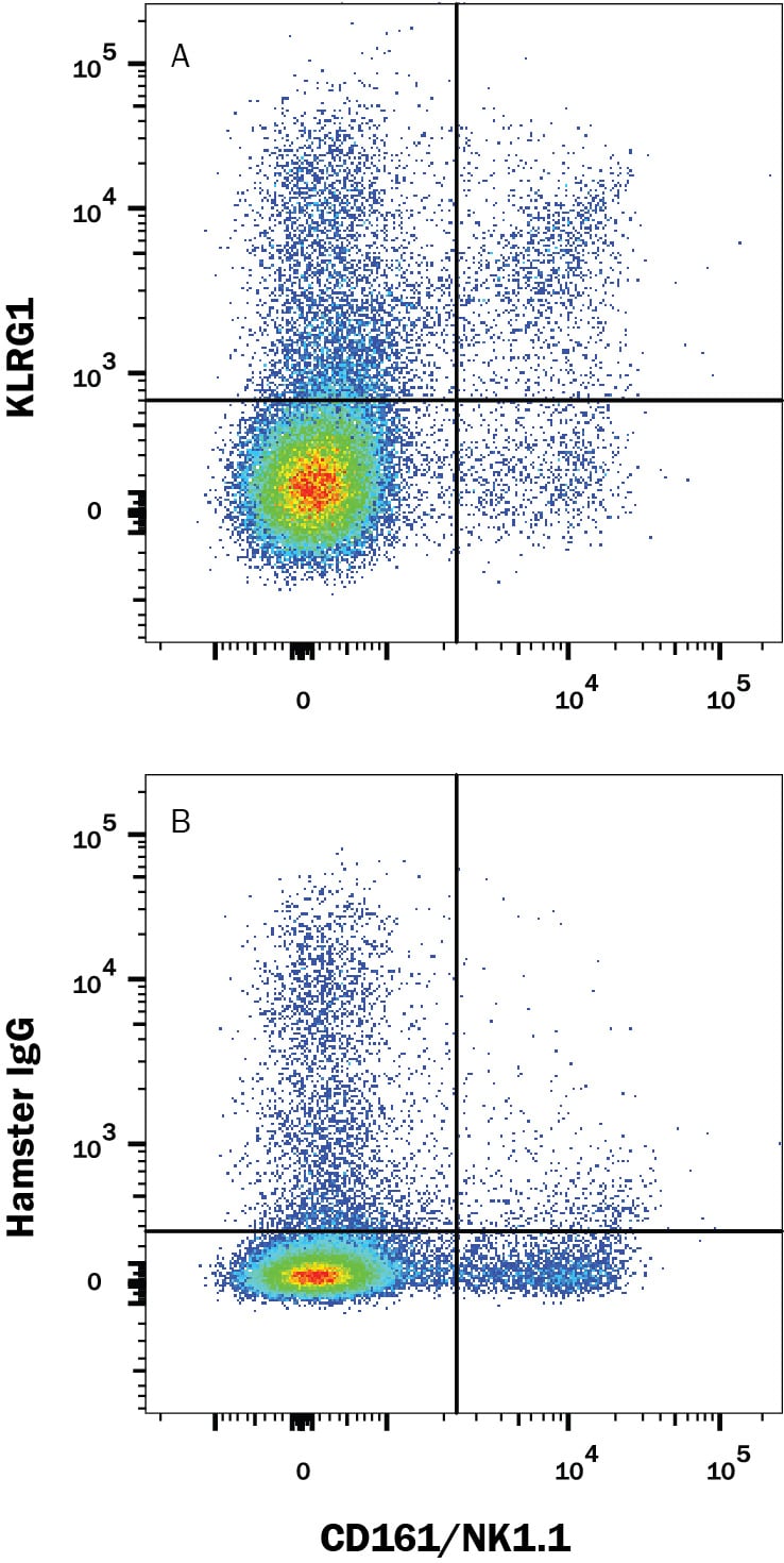 Detection of KLRG1 antibody in Mouse Splenocytes antibody by Flow Cytometry.