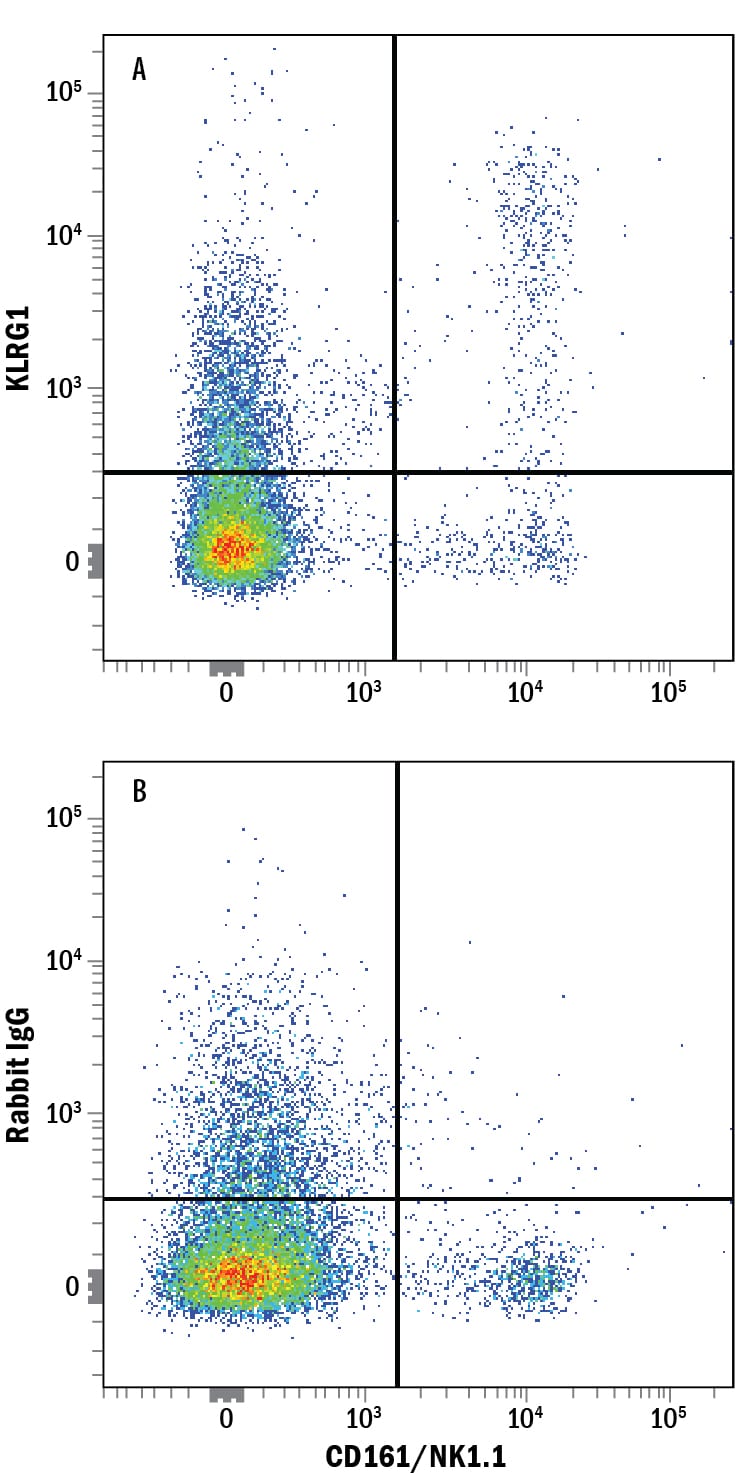 Detection of KLRG1 antibody in Mouse Splenocytes antibody by Flow Cytometry.