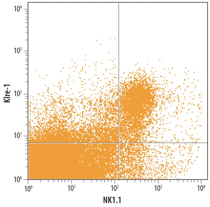 Detection of Klre-1 antibody in Mouse Splenocytes antibody by Flow Cytometry.