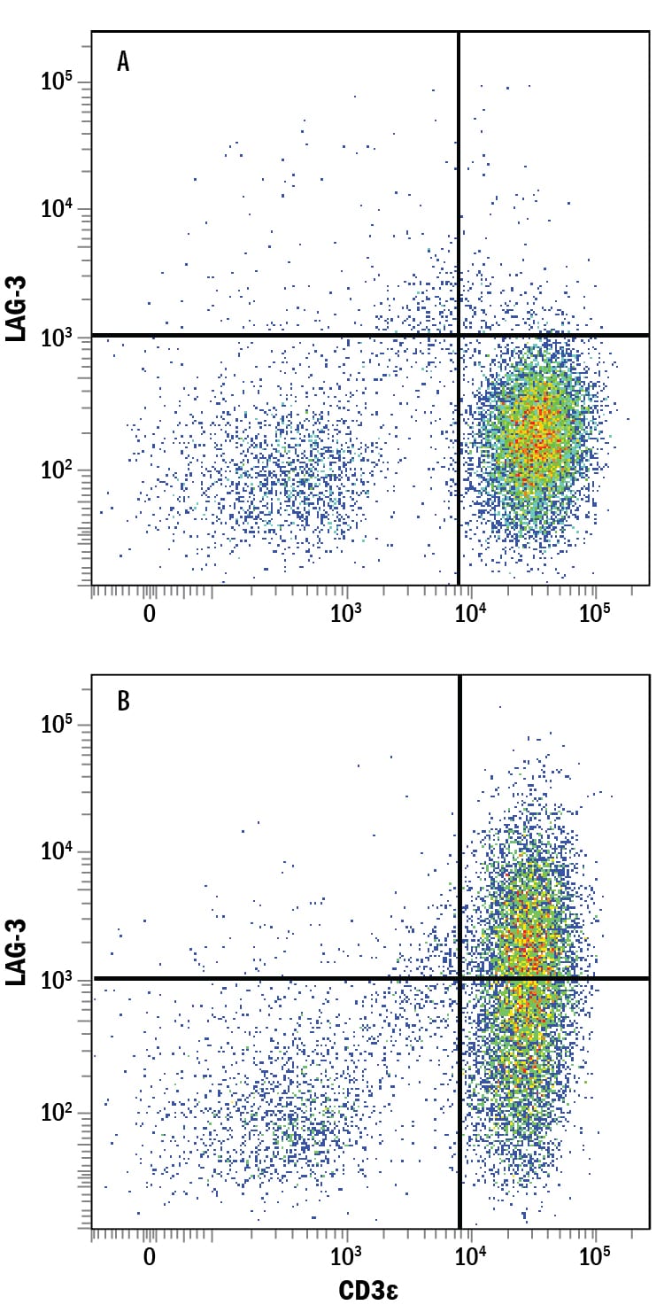 Detection of LAG-3 antibody in CD3+Human PBMCs antibody by Flow Cytometry.