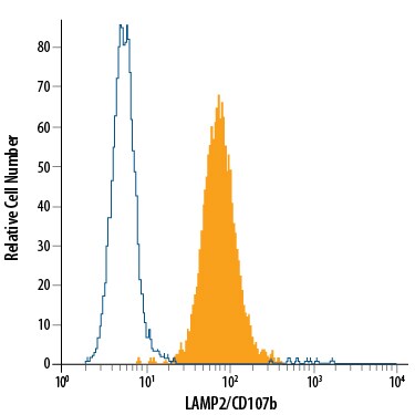 Detection of LAMP2/CD107b antibody in HeLa Human Cell Line antibody by Flow Cytometry.