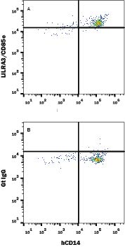 Detection of LILRA3/CD85e antibody in Human Blood Monocytes antibody by Flow Cytometry.