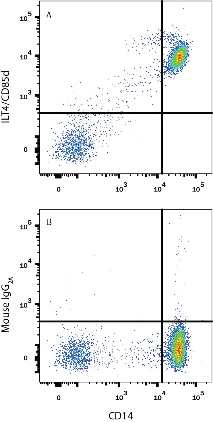 Detection of LILRB2/CD85d/ILT4 antibody in Human PBMCs antibody by Flow Cytometry.
