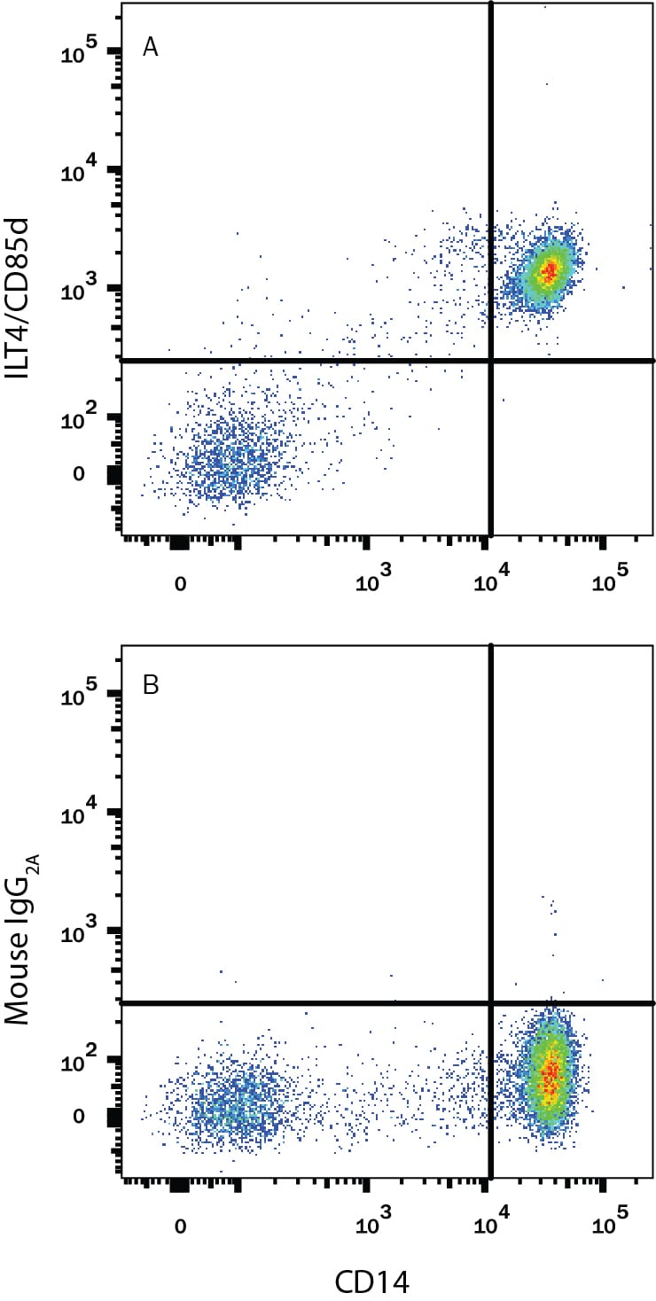 Detection of LILRB2/CD85d/ILT4 antibody in Human PBMCs antibody by Flow Cytometry.
