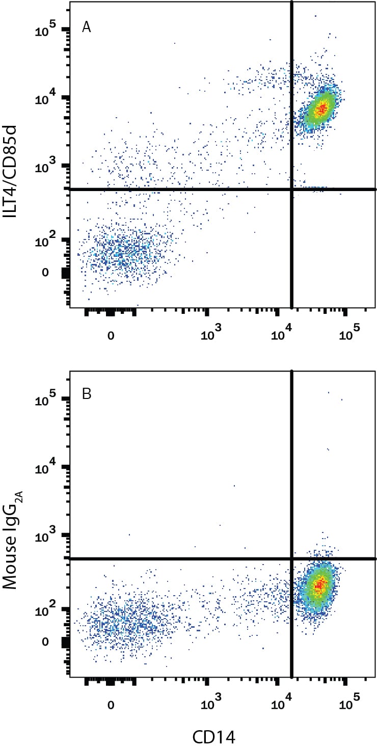 Detection of LILRB2/CD85d/ILT4 antibody in Human PBMCs antibody by Flow Cytometry.