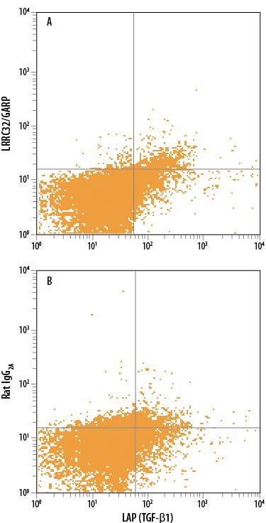 Detection of LRRC32/GARP antibody in Human PBMCs stimulated to induce Tregs antibody by Flow Cytometry.