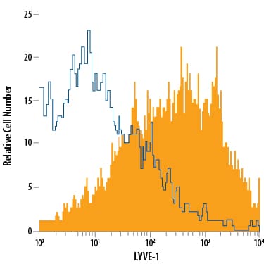 Detection of LYVE-1 antibody in bEnd.3 Mouse Cell Line antibody by Flow Cytometry.