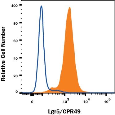 Detection of Lgr5/GPR49 antibody in HEK293 Human Cell Line Transfected with Mouse Lgr5/GPR49 antibody by Flow Cytometry.