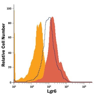 R-Spondin 4 Binding to Lgr6-transfected HEK293 Human Cell Line is Blocked by Human Lgr6 Antibody.