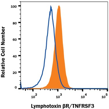 Detection of Lymphotoxin  beta R/TNFRSF3 antibody in NIH-3T3 Mouse Cell Line antibody by Flow Cytometry.