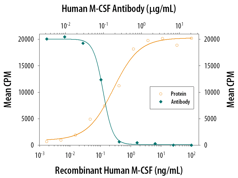 Cell Proliferation Induced by M‑CSF and Neutralization by Human M‑CSF Antibody.