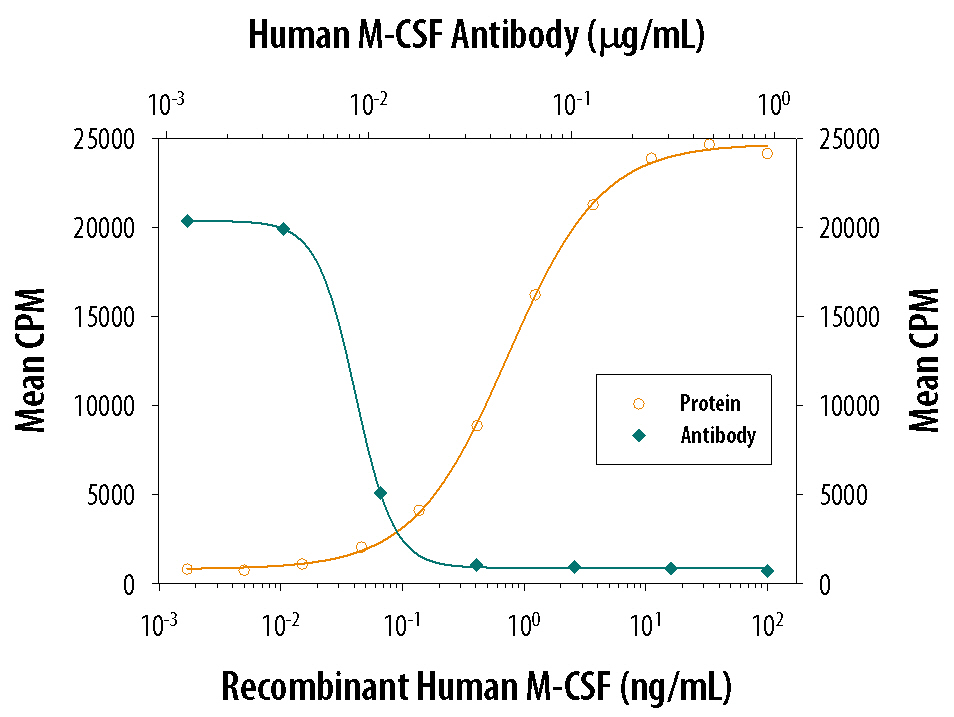 Cell Proliferation Induced by M‑CSF and Neutralization by Human M‑CSF Antibody.